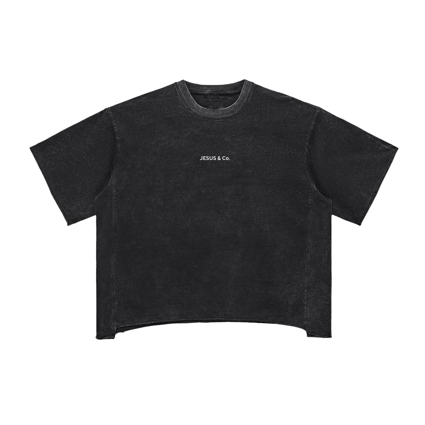 Raw Edge Snow Washed Boxy T-Shirt